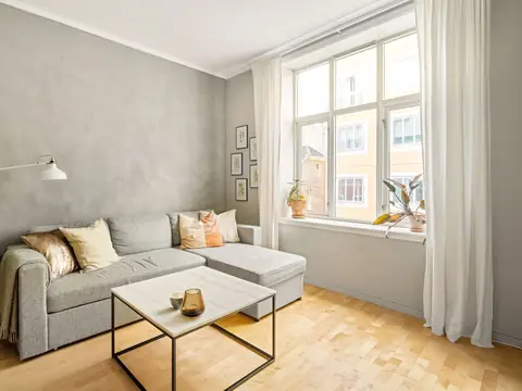 A calm, bright living room with a gray sofa and a tall window letting in daylight